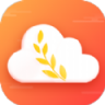 麦穗天气APP 1.0.0 安卓版