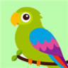 鹦鹉语言翻译器app 1.13 安卓版